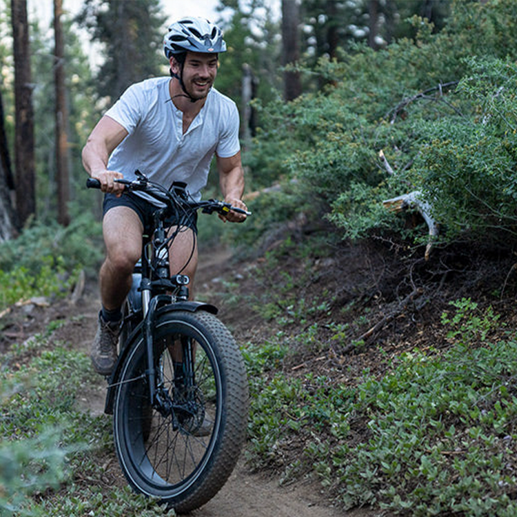 HJM Classic Toury Fat Tire Ebike - EV-Riders