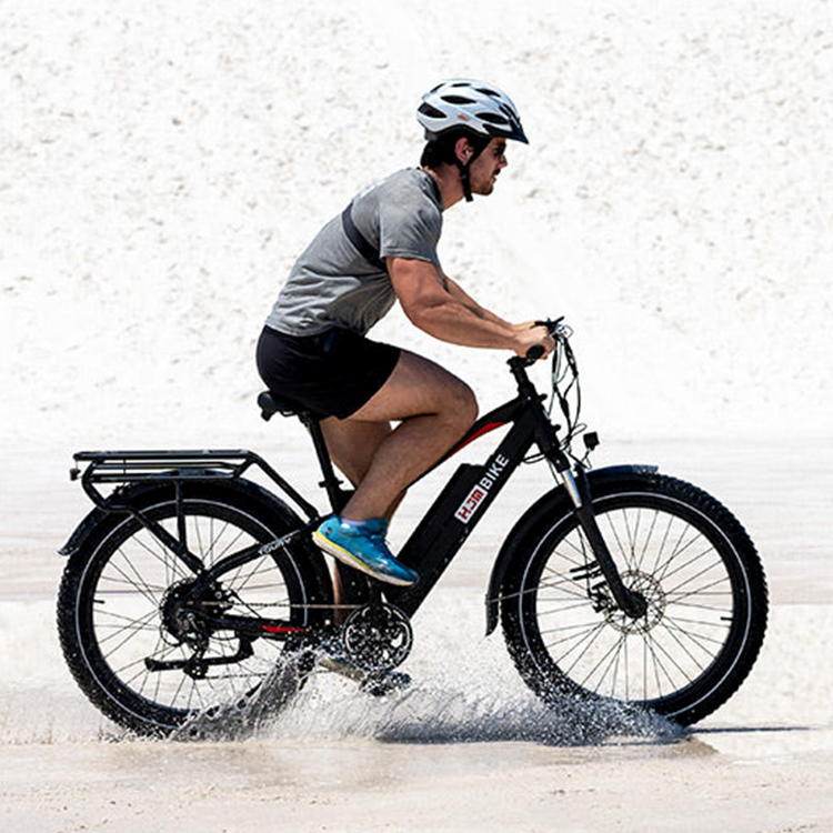 HJM Classic Toury Fat Tire Ebike - EV-Riders