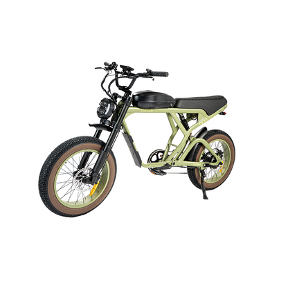 Revi Bikes Cougar - EV-Riders