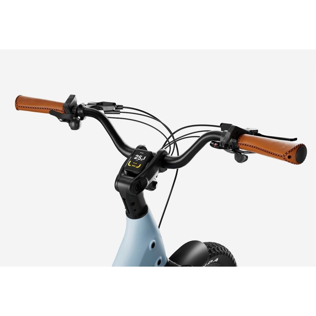 Urtopia Joy Carbon EBike - EV-Riders
