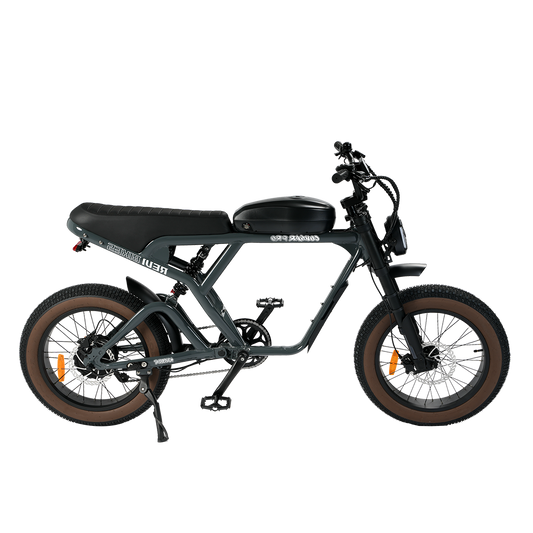 Revi Bikes Cougar - EV-Riders