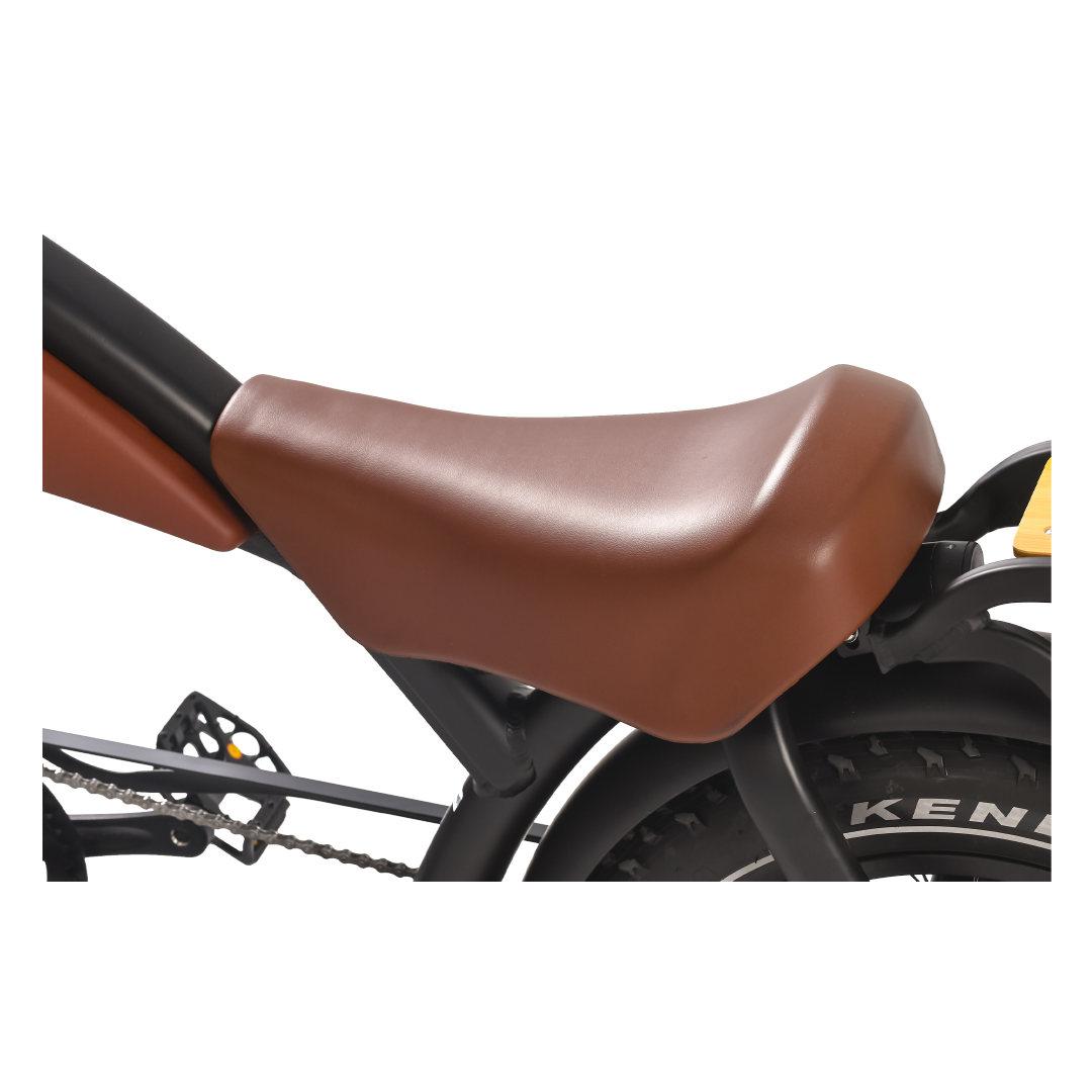 Revi Bikes Prowler - EV-Riders