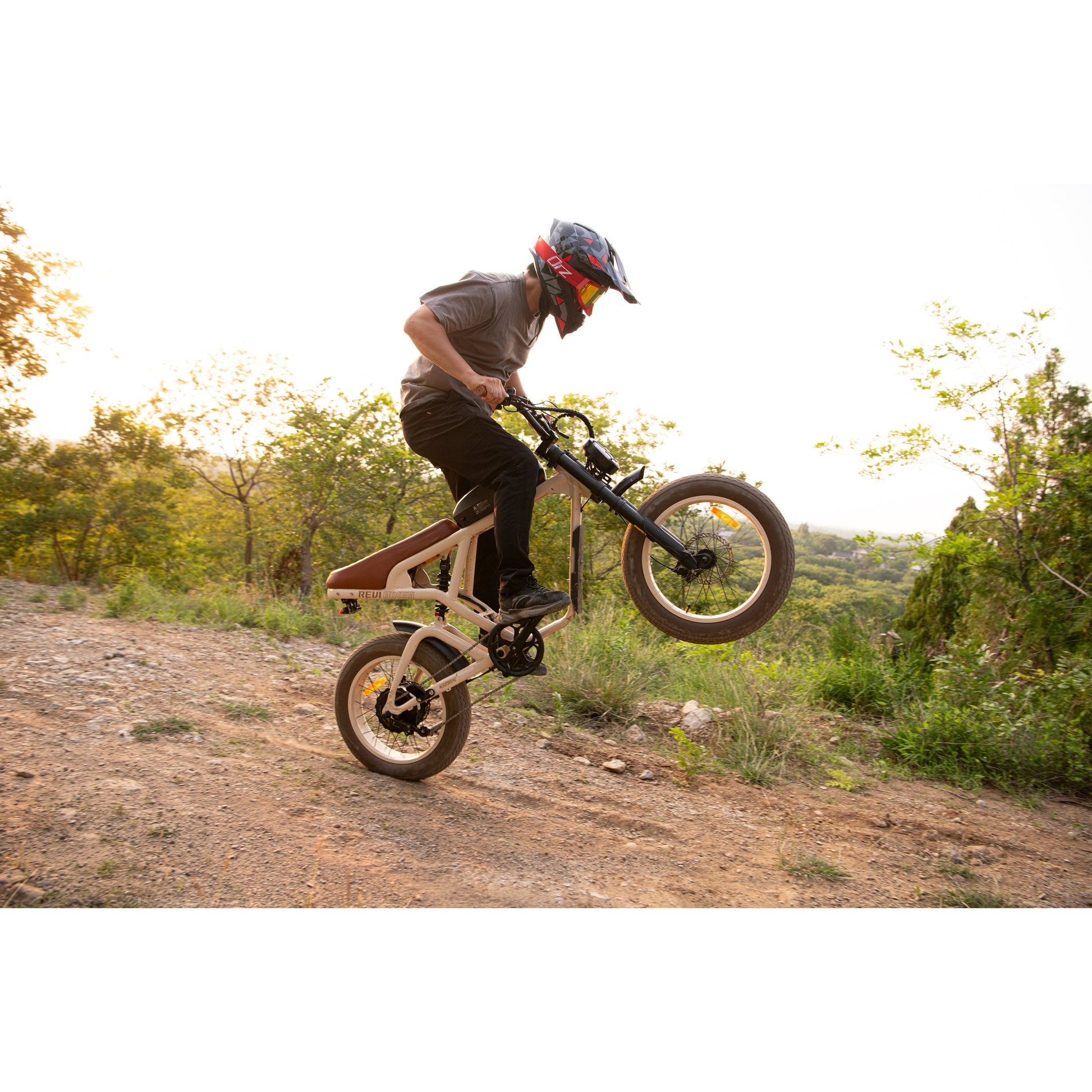 Revi Bikes Cougar - EV-Riders