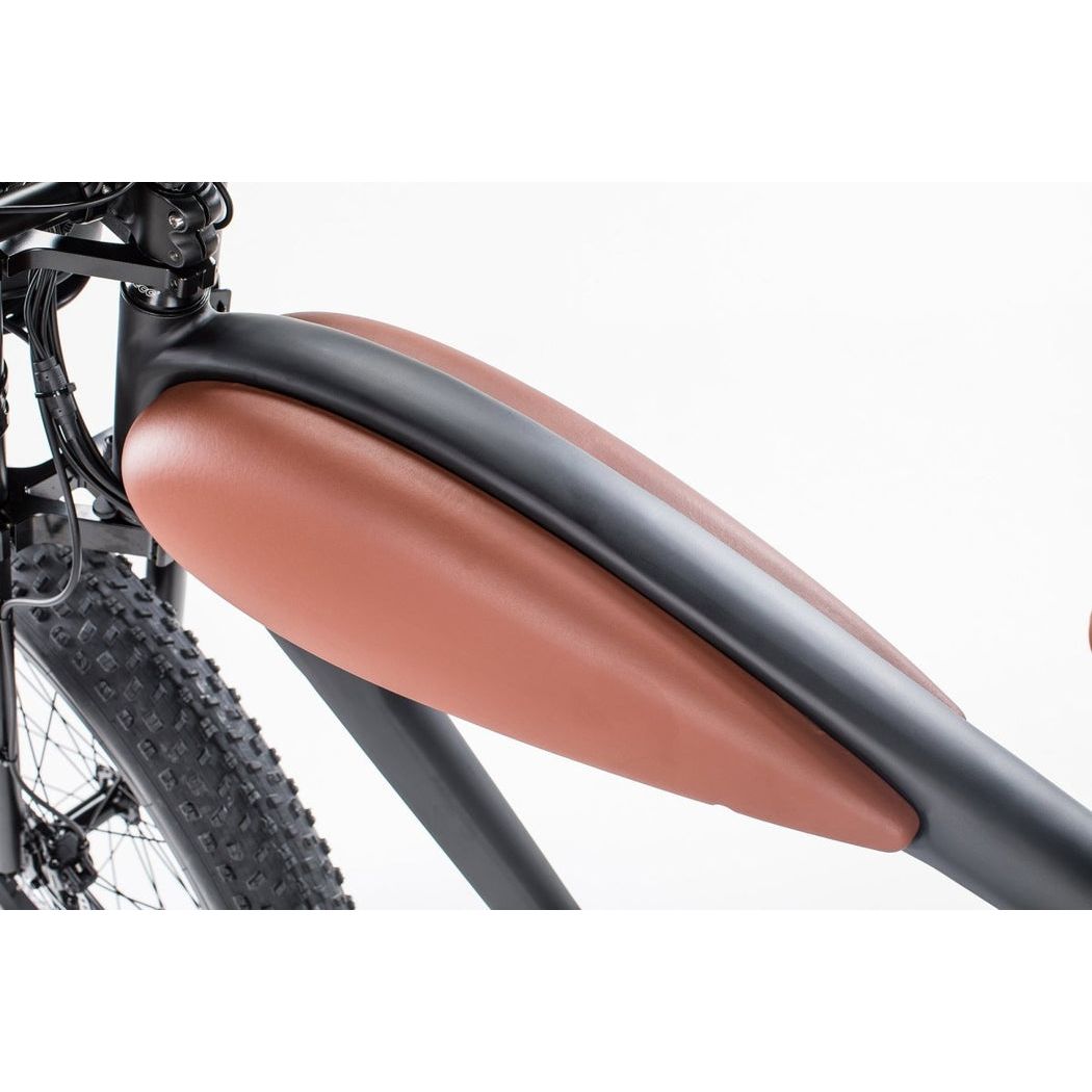 Revi Bikes Cheeta - EV-Riders