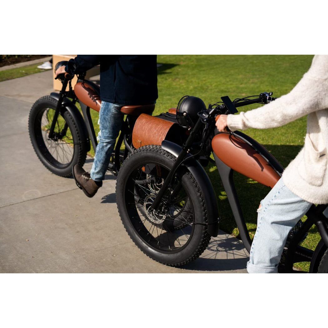 Revi Bikes Cheeta - EV-Riders