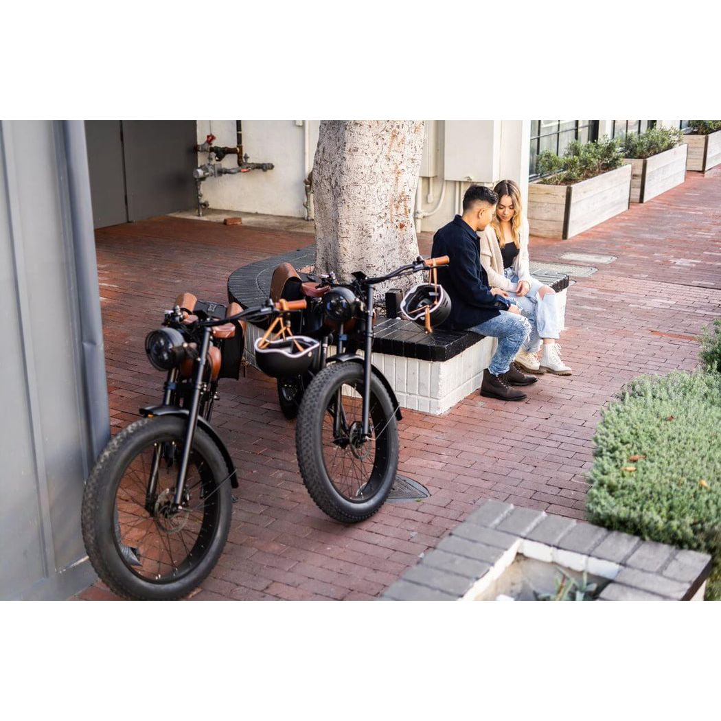 Revi Bikes Cheeta - EV-Riders