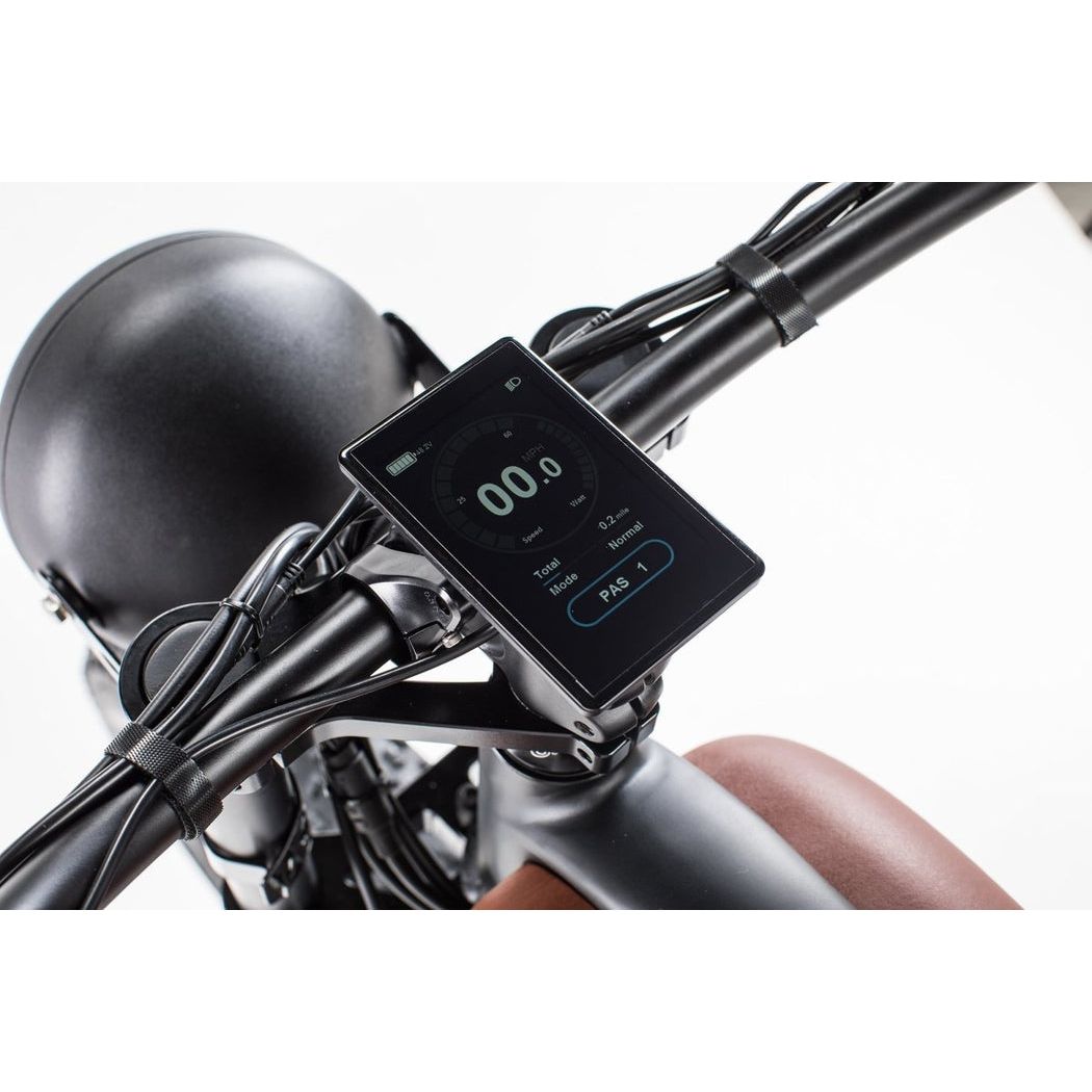 Revi Bikes Cheeta - EV-Riders